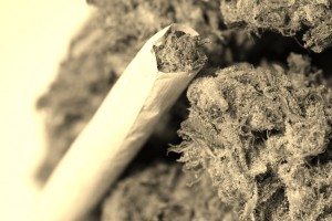 marijuana1-300x200
